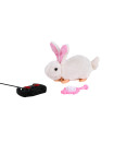R/c Rabbit